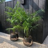 Umelá rastlina Areca palm UV Green 175 cm