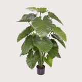 Umelá rastlina Alocasia Calidora Green 115 cm