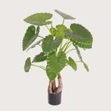 Umelá rastlina Alocasia Calidora Green 120 cm