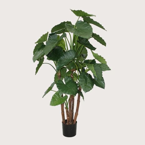 Umelá rastlina Alocasia Calidora Green 165 cm