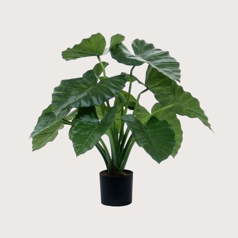 Umelá rastlina Alocasia Calidora Green 60 cm