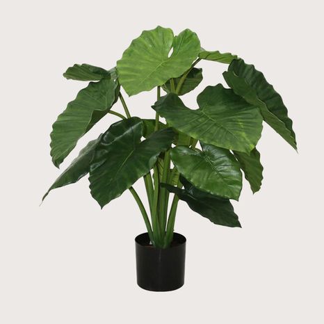 Umelá rastlina Alocasia Calidora Green 80 cm