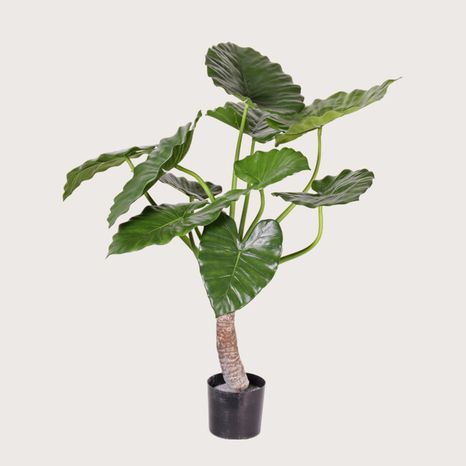 Umelá rastlina Alocasia Calidora Green 80 cm