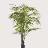 Umelá rastlina Areca palm UV Green 175 cm