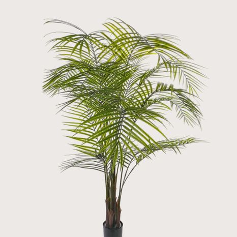 Umelá rastlina Areca palm UV Green 175 cm