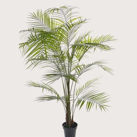 Umelá rastlina Areca palm UV Green 195 cm